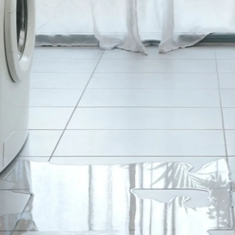 Appliance Leak Cleanup in Polk County, TX