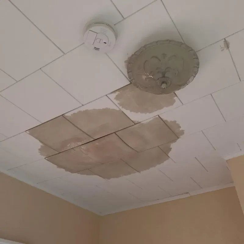 Ceiling Water Damage Repair in Polk County, TX