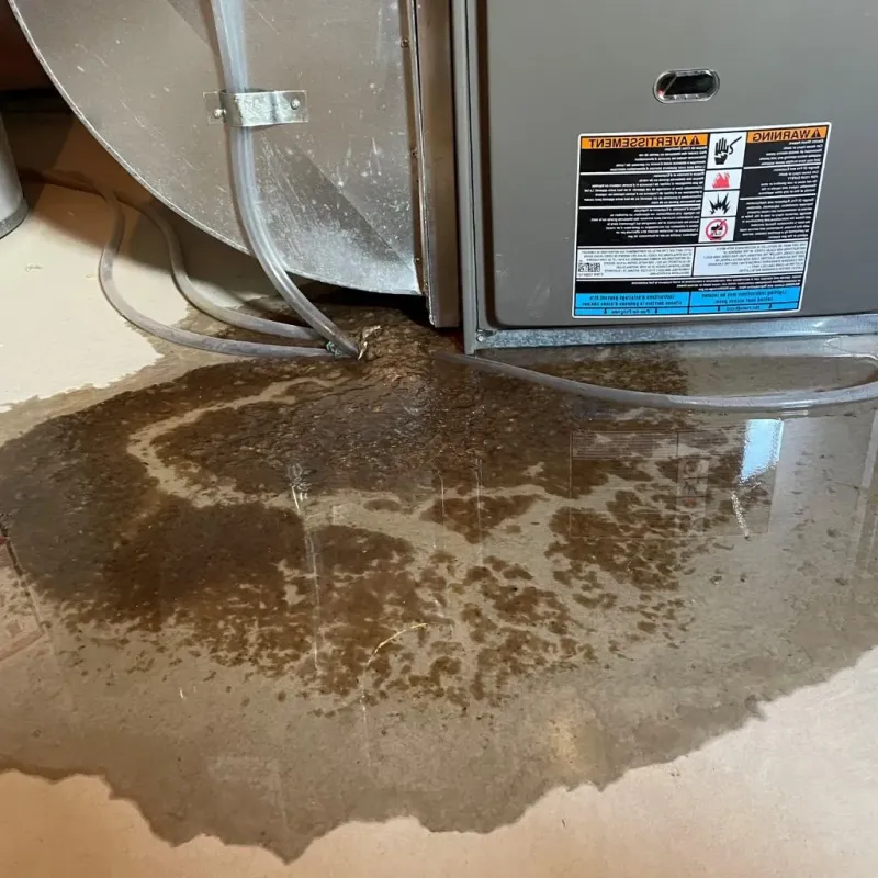 Pipe Burst and Leak Restoration in Polk County, TX