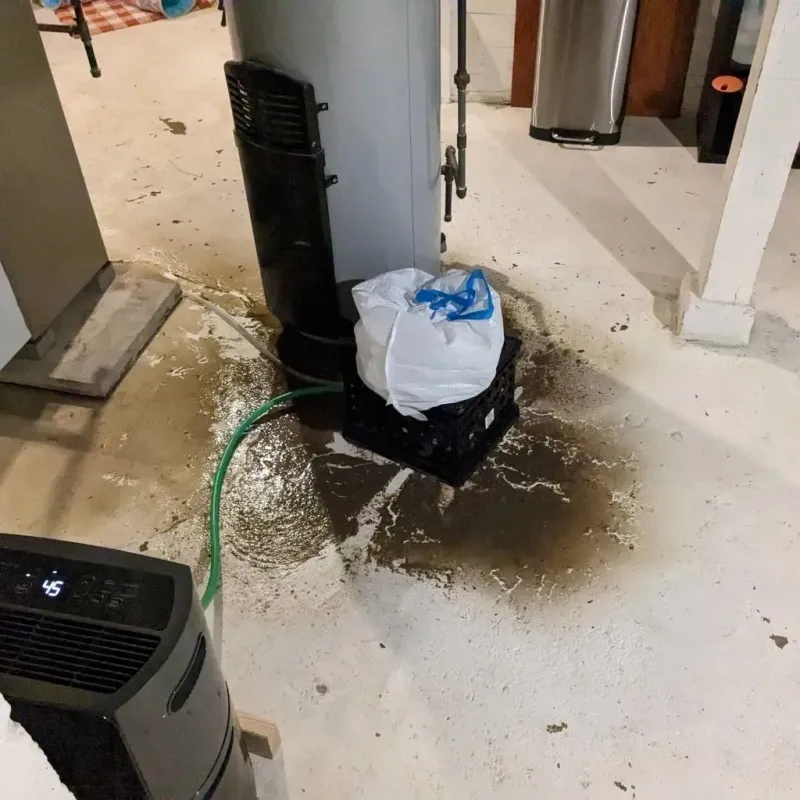 Sewage Backup Cleanup Service in Polk County, TX